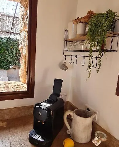 Gianni Location Palombaggia 维琪奥港