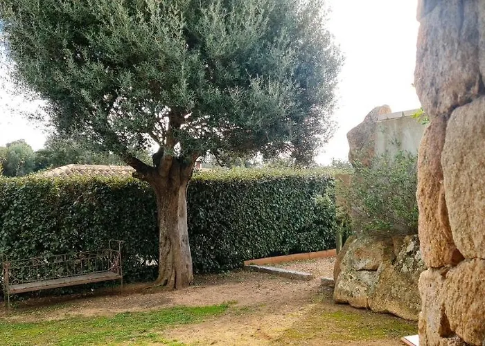 别墅 Gianni Location Palombaggia 维琪奥港