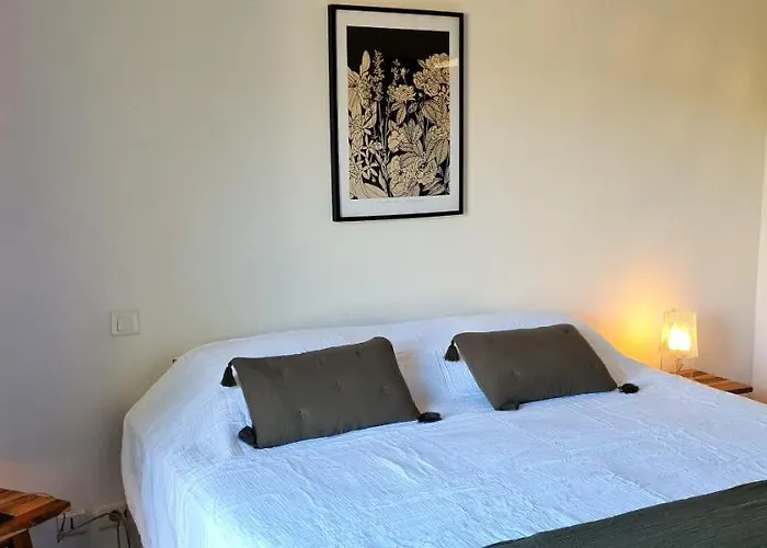 Gianni Location Palombaggia * 维琪奥港