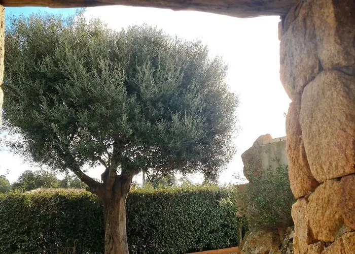 Gianni Location Palombaggia 维琪奥港