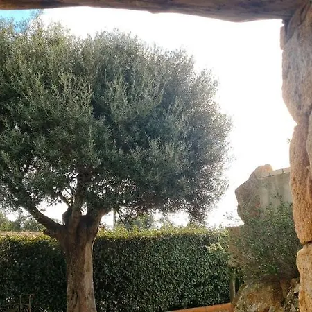 Gianni Location Palombaggia 포르토베쉬오