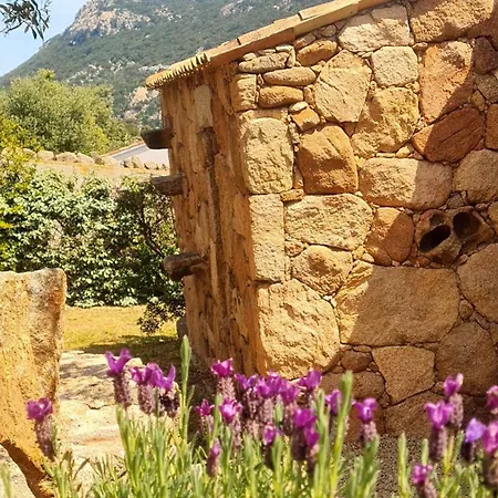 빌라 Gianni Location Palombaggia *